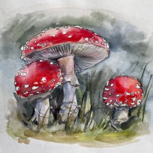 Мухомори. Акварель